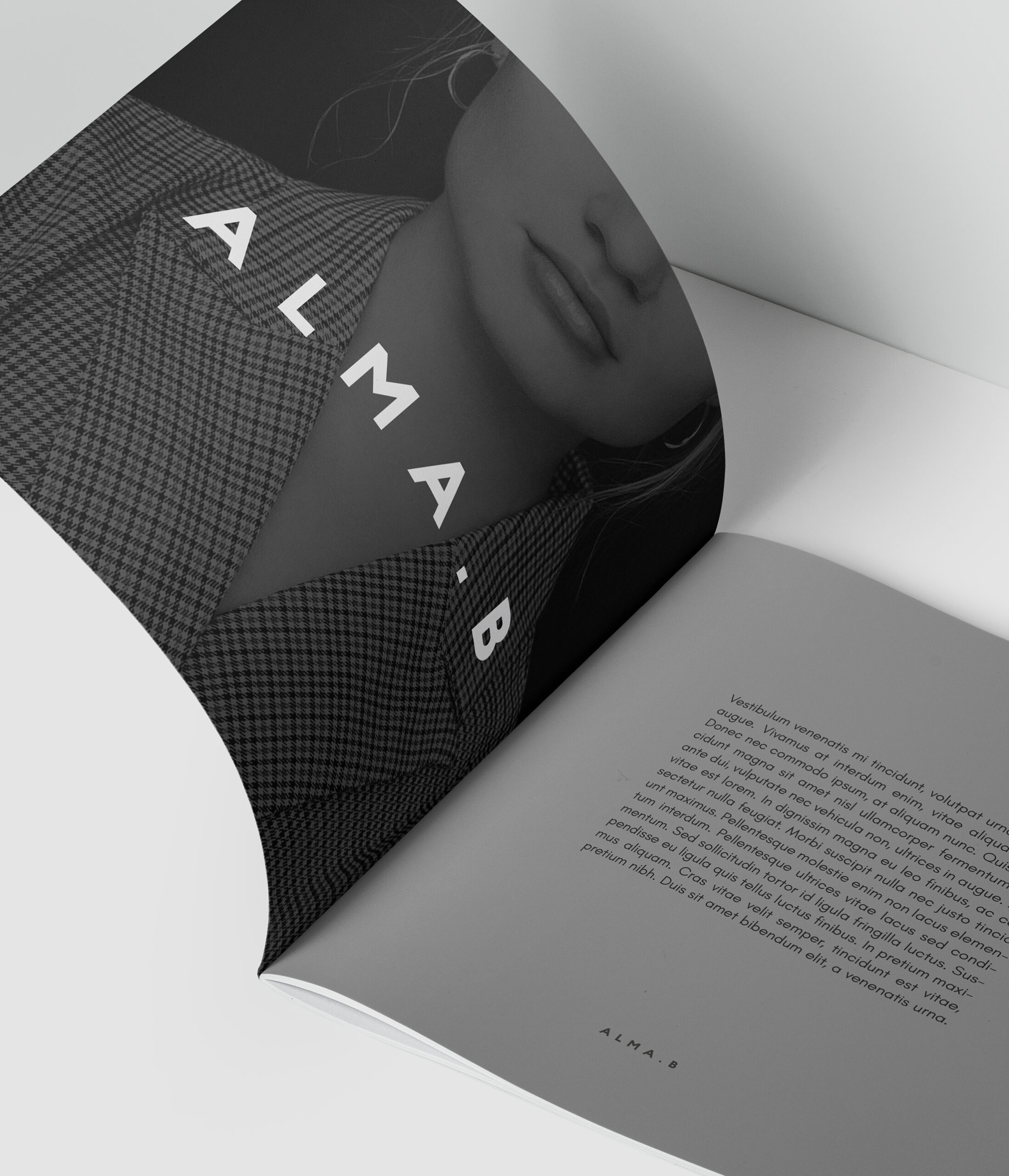 AlmaB2